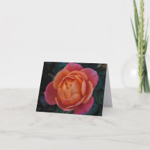 Cartes de vœux pliées de photographie d'art fin Co