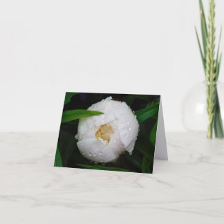 Cartes de vœux pliées de photographie d'art fin Wh