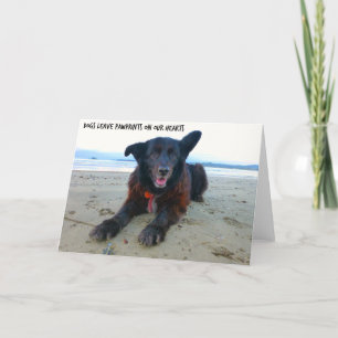Cartes de vœux pour chiens - Chiens Laissent des E