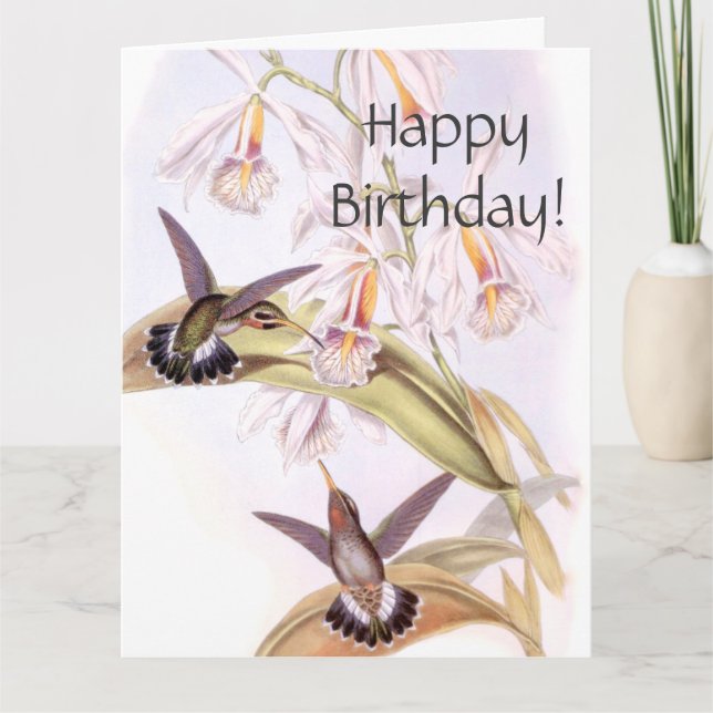 Cartes de voeux pour l'anniversaire des colibris (Devant)