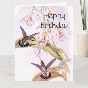 Cartes de voeux pour l'anniversaire des colibris