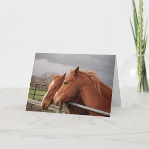 Cartes de voeux pour les amateurs de chevaux
