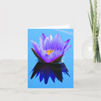 Cartes de voeux pour Lily de l'eau réfléchie viole