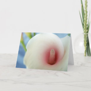 Cartes de voeux Swirl White Calla Lily Art