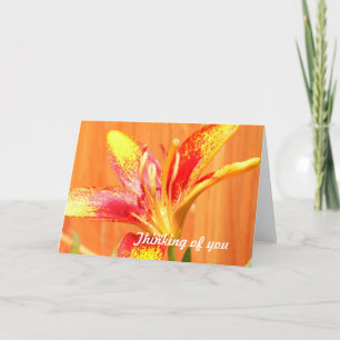 Cartes de voeux Tiger Lily