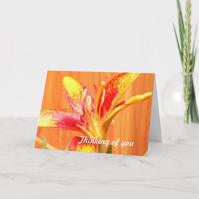 Cartes de voeux Tiger Lily (Devant)