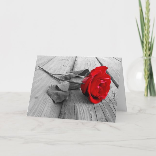 Cartes de vœux vierges (Devant)