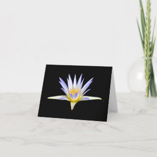 Cartes de vœux vierges au nénuphar à l'eau de lava