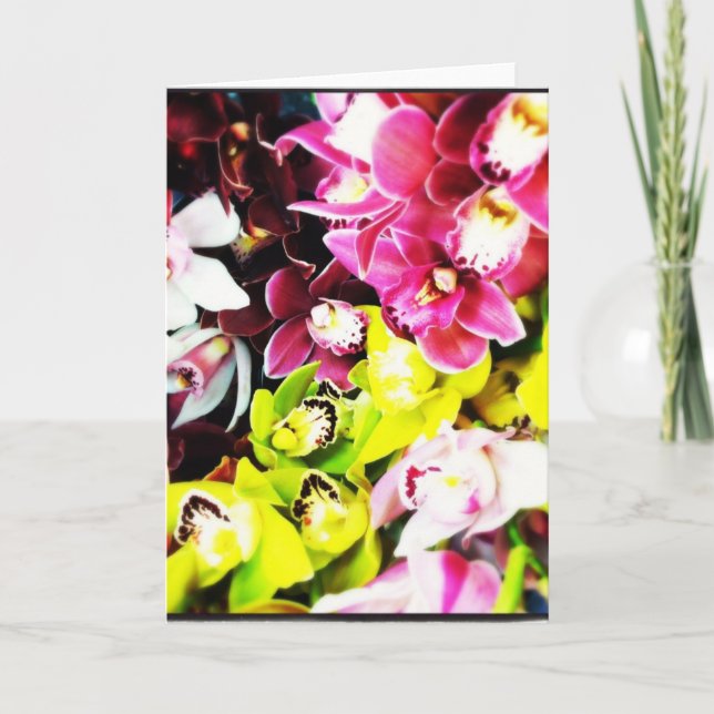 Cartes de voeux vierges des orchidées de Cymbidium (Devant)