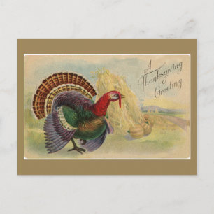 Cartes de vœux vintage pour Thanksgiving Dindon