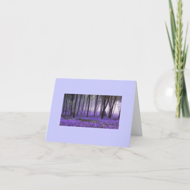cartes de zensualité de forêt violette (Devant)