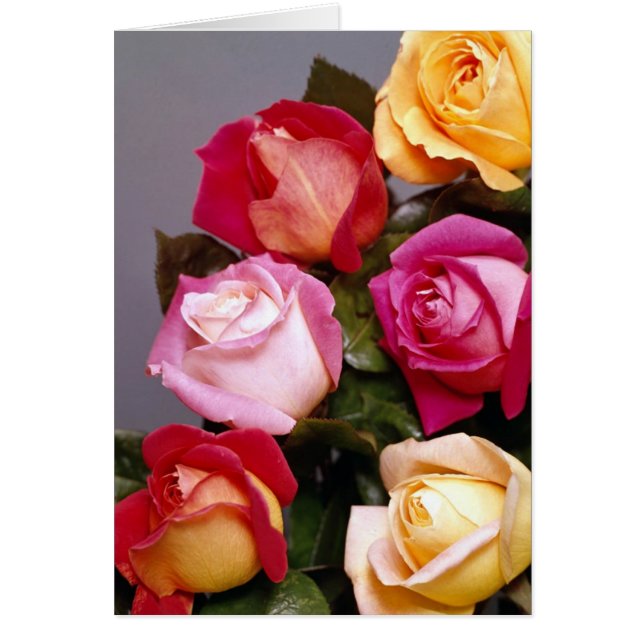 Cartes d'élégance rose (Devant)