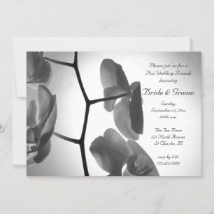 Cartes d'invitation au brunch après mariage avec o