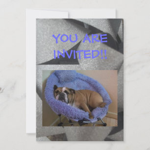 Cartes d'invitation pour la fête de l'English Bull