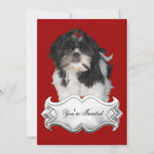 Cartes d'invitation Shitzu Shih Tzu Chiots Rouges 