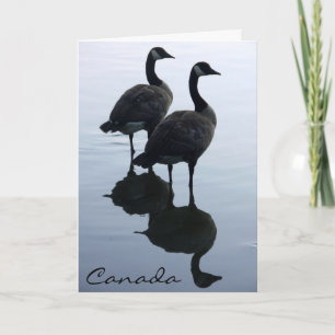 Cartes d'oies du Canada Cartes d'accueil des oies 