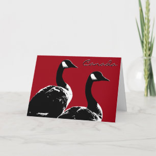 Cartes d'oies du Canada Cartes d'accueil des oies