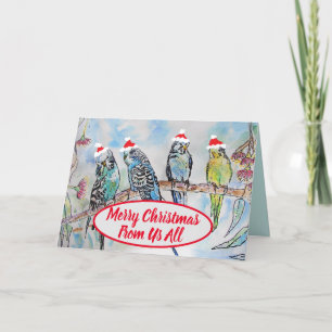 Cartes d'oiseaux amusantes pour Noël Père Noël Bud
