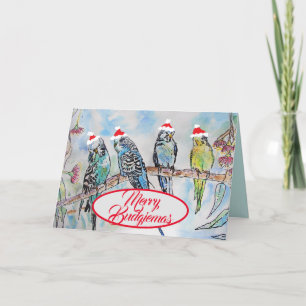 Cartes d'oiseaux amusantes pour Noël Père Noël Bud