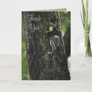 Cartes d'oiseaux du Merci par Janz