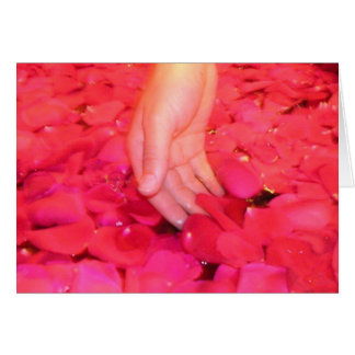 Cartes douces de pétales