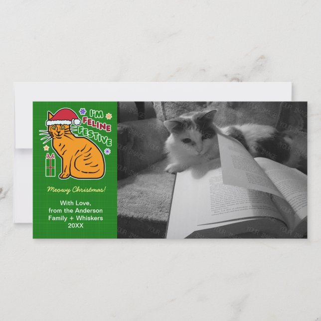 Cartes drôles de Noël pour chats et félins (Devant)