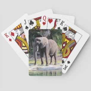 Cartes Eléphant - Bicyclettes de jeu