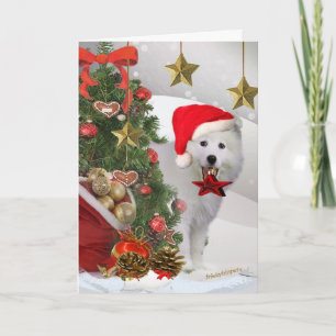 Cartes esquimaudes américaines d'étoile de Noël