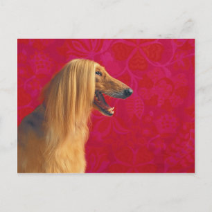 Cartes et GI afghanes