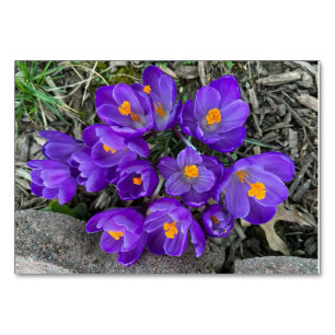 Cartes flash personnalisées de lecture de fleurs d