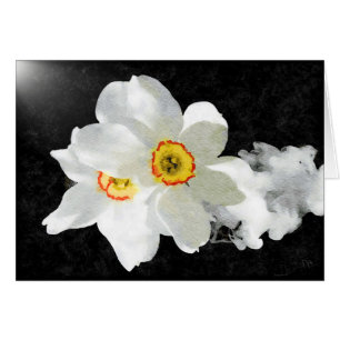 Cartes florales blanches de Smokey