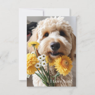 Cartes Goldendoodle