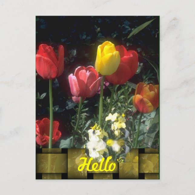 Cartes Hello (Devant)