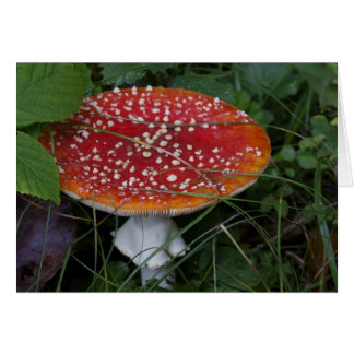 Cartes italiennes, Borgo Valsugana