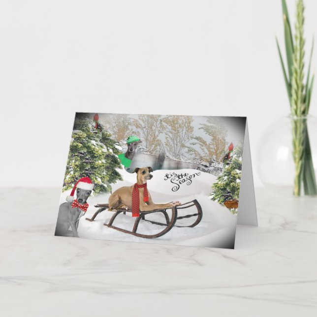 Cartes italiennes de jeu de neige Greyhound (Devant)