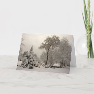 Cartes Joyeuses Fêtes des Wonderland Cards