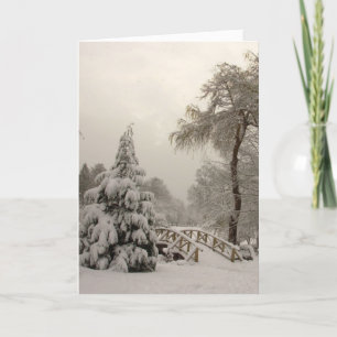 Cartes Joyeuses Fêtes des Wonderland Cards