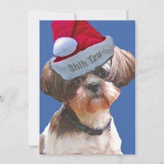 Cartes Noël Shih Tzu 10 pk