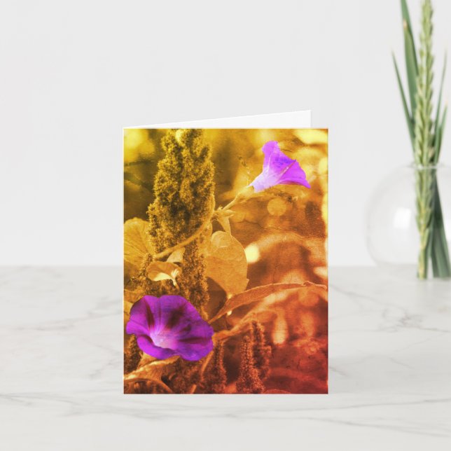 Cartes Noir Et Blanc Matin Glories (Devant)