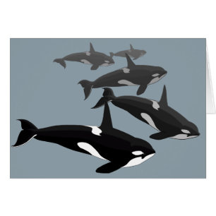 Cartes Orca Cartes d'Art Personnalisées Tueur Bale