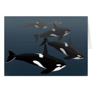 Cartes Orca Personnalisez Les Cartes D'Art De Tueu