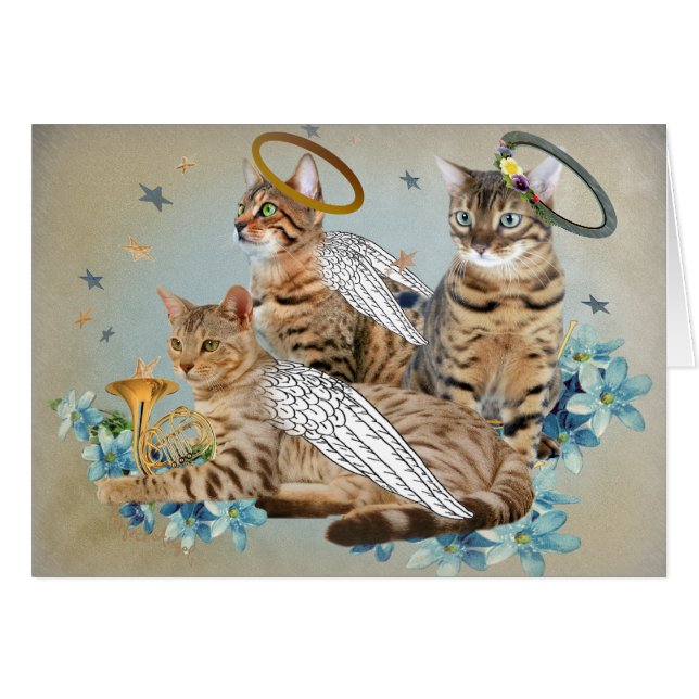 Cartes parfaites d'anges du Bengale (Devant horizontal)