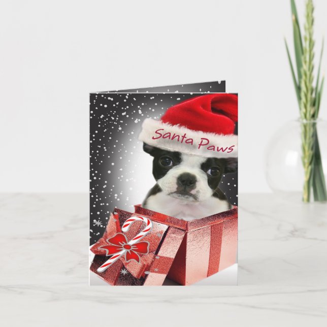 Cartes Père Noël de Boston Terrier (Devant)