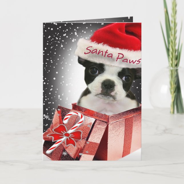 Cartes Père Noël de Boston Terrier (Devant)