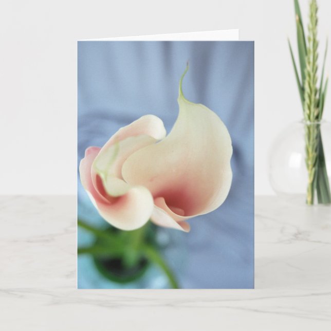 Cartes photo Art Vortex White Calla Lily (Devant)
