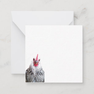 Cartes photo plat Cute Bantam Cochin Hen