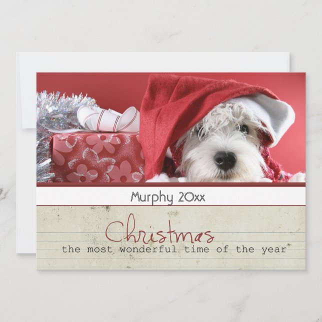 cartes photos d'animal familier de Noël de (Devant)