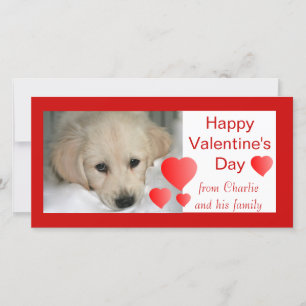 cartes photos de chiens Heureuses Saintes-Valentin
