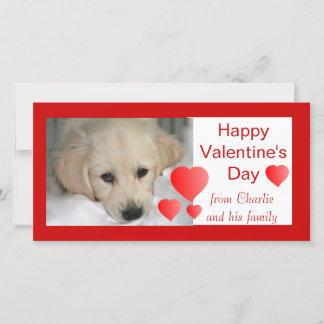 Cartes photos de chiens Heureuses Saintes-Valentin