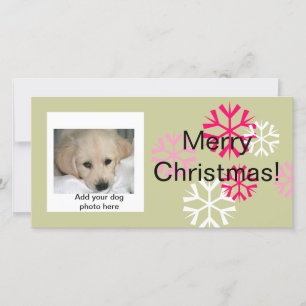 Cartes photos de Noël personnalisées pour chien Pi